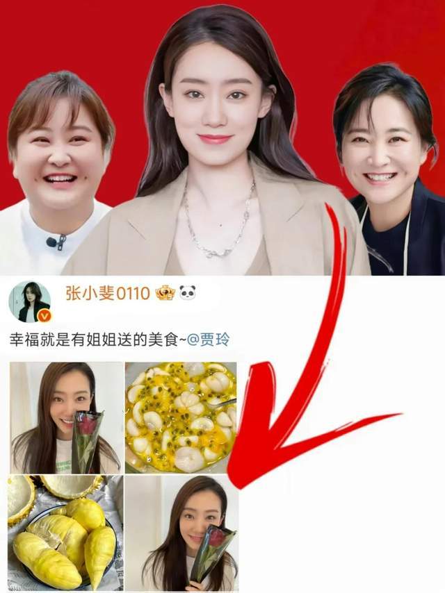 雷佳音没撒谎！退出春晚、解散公司、性格大变的贾玲证实他的话(图21)