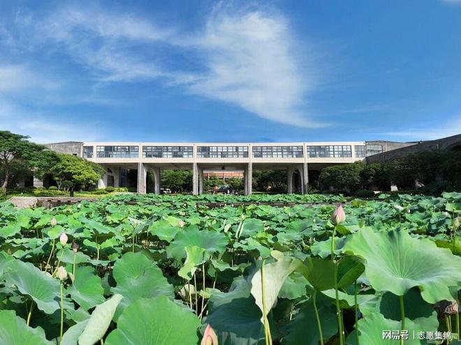 武汉设计工程学院就业怎么样？藏不住了！就业率超九成出路太绝(图5)