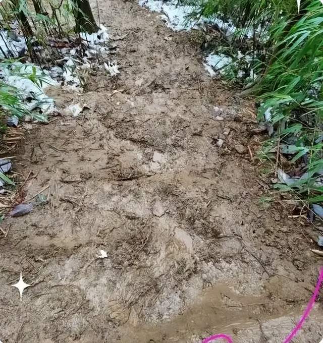 跟风去新西兰开养鸡场3年老爸熬成脑梗连家都快散了!(图1)