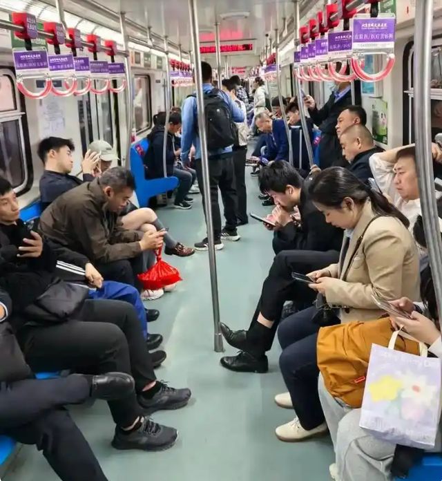 跟风去新西兰开养鸡场3年老爸熬成脑梗连家都快散了!(图3)