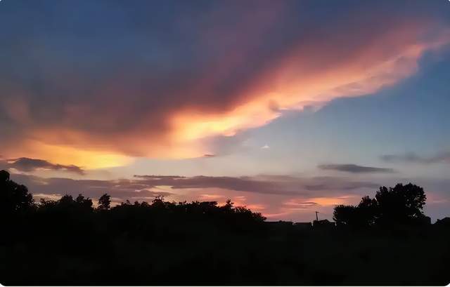 跟风去新西兰开养鸡场3年老爸熬成脑梗连家都快散了!(图2)