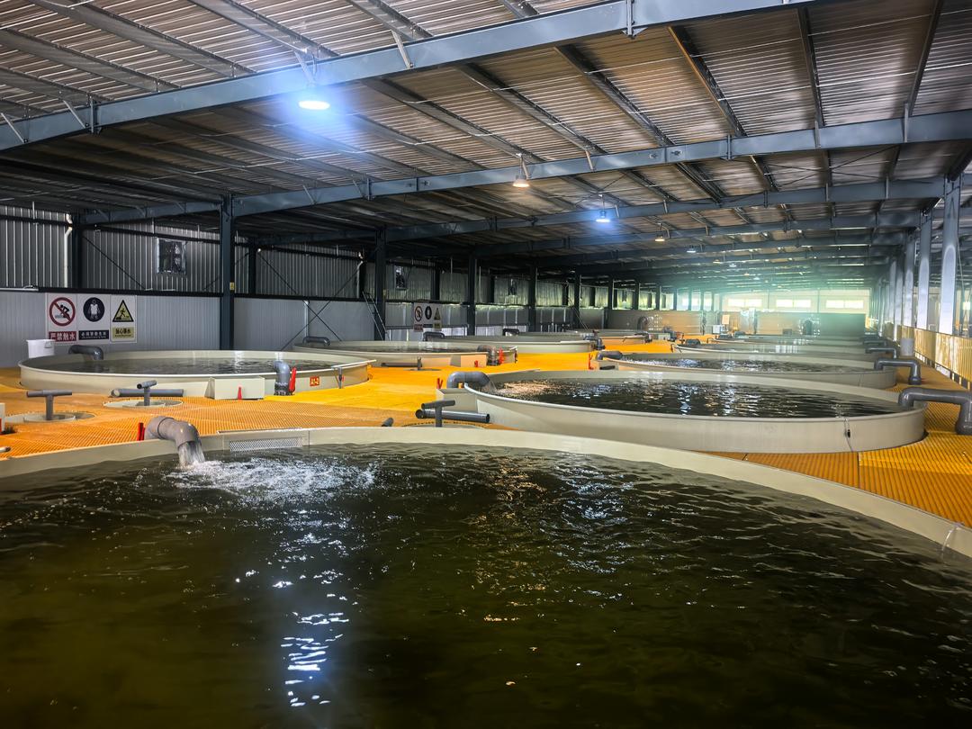 九游体育网站：蹲点调查｜跳出帮扶看协同：强县不愿帮、弱县接不住？山东这样破局(图6)